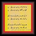 Mubashar Saeed Mubashar 01 * 22.03.2008 * 329 x 920 * (49KB)